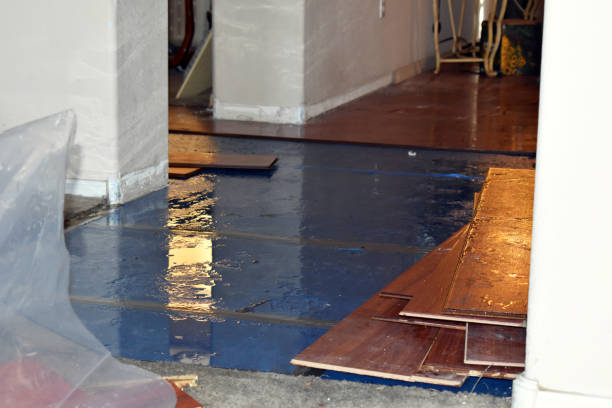 Professional Water Damage Repair technician working in Johnston, RI